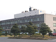 Head Office